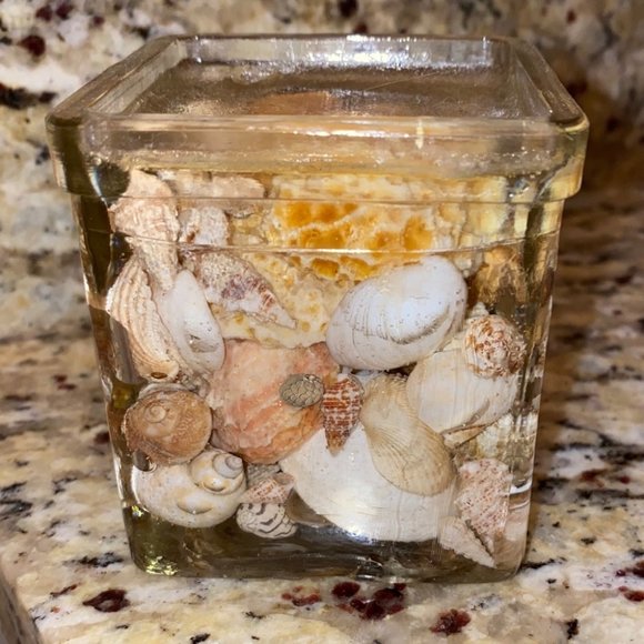 Gorgeous Stylish Modern Seashell Glass Decoration - Picture 1 of 4